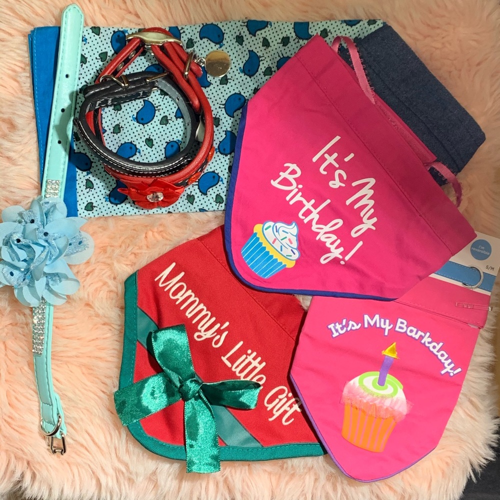 Doggy accessories!